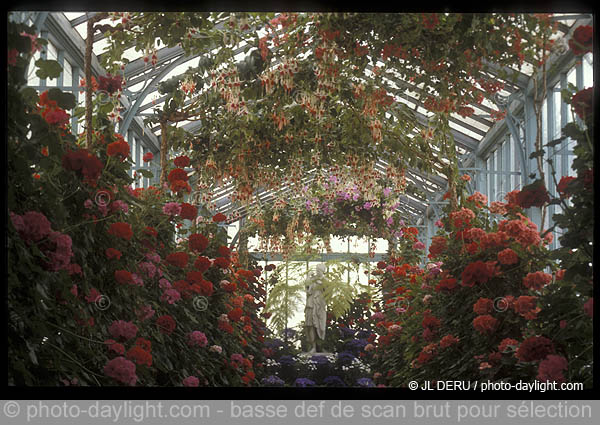 serres royales de Laeken (Bruxelles)
Royal Greenhouses of Laeken (Brussels)